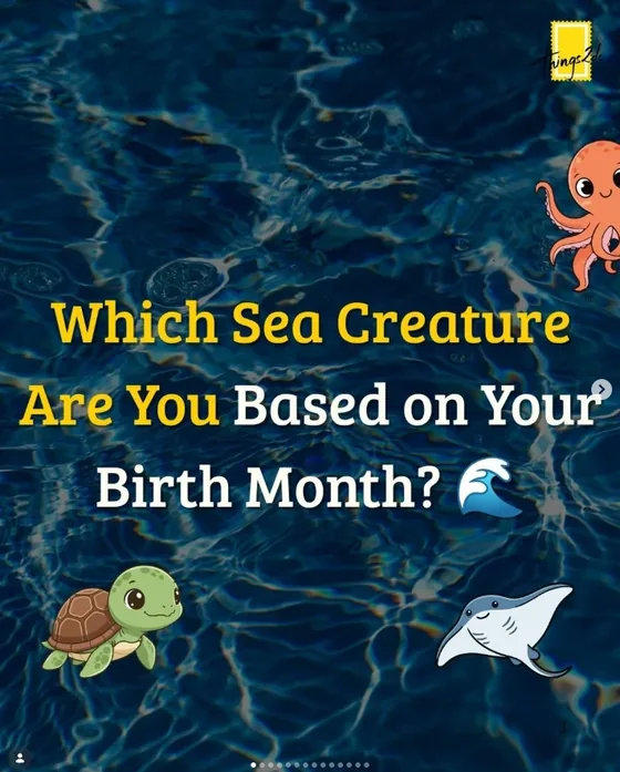 Carousel: Which sea creature are you based on your birth month